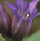 ���ǂ�